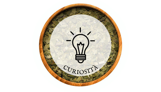 Curiosità - imperodelmate.com