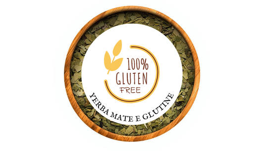 Yerba Mate e Glutine: Un’Analisi Scientifica e Pratica per Chi ha Celiachia