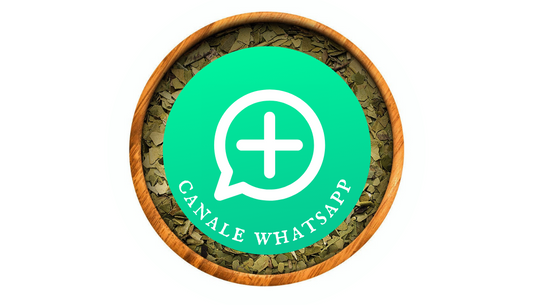 Entra a far parte della Community nel canale di Whatsapp!